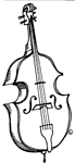 Double Bass